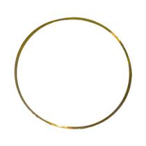 Anel Regulagem 0,12 Camisa Motor Para Iveco Stralis - 504128650