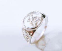 Anel sao jorge prata 925