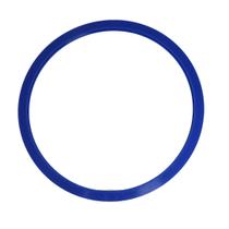 Anel Silicone VedaÇÃO Autoclave 12/21l Ecel