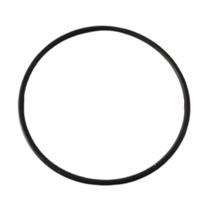 Anel Vedação Filtro Aqualar Bella Fonte 3m Cuno Acqua PN555 - OR1237