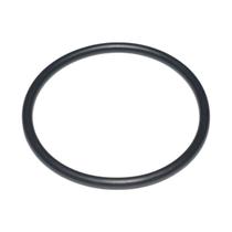 Anel Vedacao Reduzida Diferencial Rb,Rbp Pettenuzzo 1524736