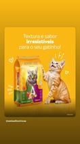 Anicat premium mix 10,1 kg*
