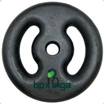 Anilha de Ferro Fundido Pintada - 10 Kg