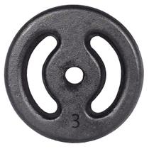 Anilha de Ferro Pintada 3kg Vazada