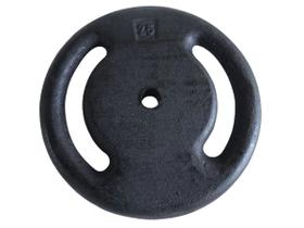 Anilha Ferro Fundido Pintada Fitness Academia 25 Kg