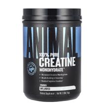 Animal Creatina Monohidratada 100% Pura - 1000g - Universal Nutrition