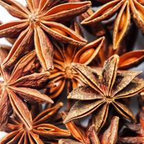 Anis Estrelado Illicium verum Hooker Londriervas 100g