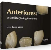 Anteriores: estratificacao logica natural - Santos Anteriores: estratificacao logica natural - Santos