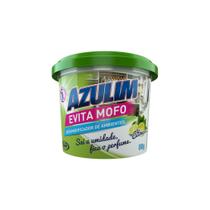 Anti Mofo Desumidificador Azulim Citrus 80g