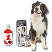 Anti Pulgas Carrapato Verme Sarna Cão 30kg 48 Comp + shampoo