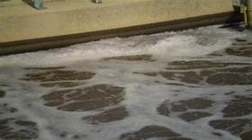 Antiespumante para efluente AE 300 5 Litros