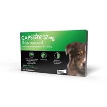 Antipulgas Capstar Nitenpiram 57mg para Cães de 11,4kg até 57kg com 1 Comprimido Elanco