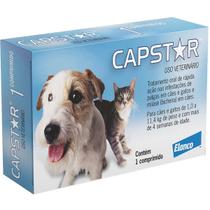 Antipulgas Elanco Capstar 11mg para Cães e Gatos até 11,4 Kg