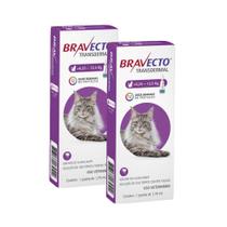 Antipulgas MSD Bravecto Transdermal para Gatos de 6,25 a 12,5 Kg - 500 mg (2 Unidades)