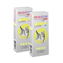Antipulgas MSD Bravecto Transdermal Plus para Gatos de 1,2 a 2,8 Kg - 1 Pipeta (2 Unidades)