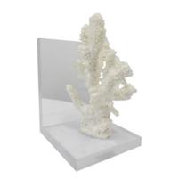 Aparador de Livro Coral Poliresina Branco