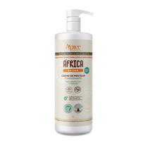 Apice África Baobá Creme de Pentear 1L Apice África Baobá Creme de Pentear 1L