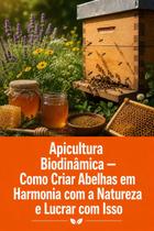 Apicultura Biodinâmica Como Criar Abelhas em Harmonia com a Natureza e Lucrar com Isso