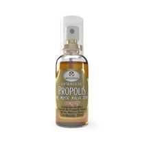 APISVIDA Spray Própolis Verde com Menta e Romã 30mL Spray Oral Prático com Extrato Natural de Própolis, Sabor Refrescante