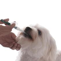 Aplicador De Comprimidos Alimentador Pet Seringa Para Cães e Gatos