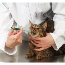 Aplicador Seringa de comprimidos para Pets Gatos Cachorros Comprimido Líquidos