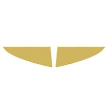 Aplique Canto Inferior Grade - Dourado - Para Scania NTG Aplique Canto Inferior Grade - Dourado - Para Scania NTG