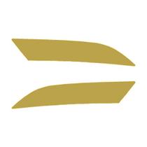 Aplique Canto Inferior Porta Para Daf XF Dourado Par