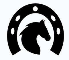 Aplique Cavalo mais ferradura Em Mdf Apliques De Parede Preto com fita dupla face