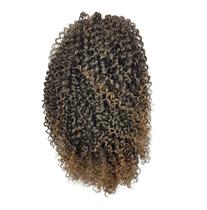 Aplique Coque Afro Puff Fibra Sintética P10