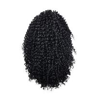 Aplique Coque Afro Puff Fibra Sintética P10