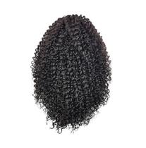 Aplique Coque Afro Puff Fibra Sintética P10