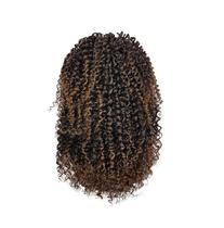 Aplique Coque Afro Puff Fibra Sintética P10 Aplique Coque Afro Puff Fibra Sintética P10