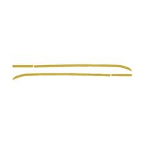 Aplique Curvado Lateral Teto - Dourado - Para Volvo New FH