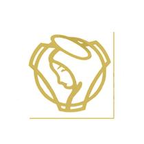 Aplique Decorado Ave Maria Para Scania Dourado