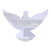 Aplique Espíruto santo em Acrílico Espelhado 4cm ACRI06