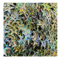 Aplique Estrela Holográfica 13mm 50pçs Patch Passante Artesanato 3g