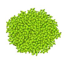 Aplique Florzinha pacote com 100 unidades VERDE FLORESCENTE Aplique Florzinha pacote com 100 unidades VERDE FLORESCENTE