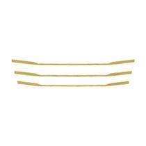 Aplique Mascara Estreita Grade Para Scania NTG P/G Dourada