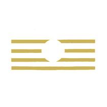 Aplique Máscara Grade Para VW Constellation Dourado Conjunto