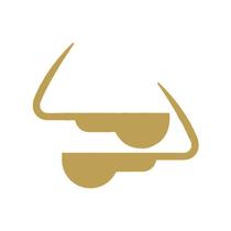 Aplique Moldura Maçaneta Para SC 2013 2014 Grifo Dourado Aplique Moldura Maçaneta Para SC 2013 2014 Grifo Dourado