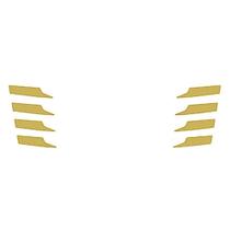 Aplique Pontas Grade Para Scania NTG R/S Dourado Aplique Pontas Grade Para Scania NTG R/S Dourado