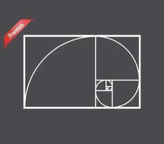 Aplique Sequencia Fibonacci 60cm Da Vinci Proporção Áurea
