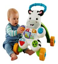 Apoiador Zebra Colorido Para Bebês Fisher Price Dlh48 Mattel