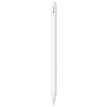 Apple Pencil (USB-C) para iPad Apple Pencil (USB-C) para iPad