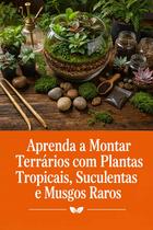 Aprenda a Montar Terrários com Plantas Tropicais, Suculentas e Musgos Raros