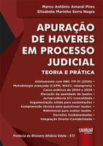 Apuração de Haveres em Processo Judicial - Teoria e Prática
