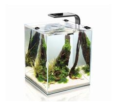 Aquael Kit Aquário De Camarões E Peixes Shrimp Set Smart 30l Aquael Kit Aquário De Camarões E Peixes Shrimp Set Smart 30l