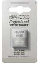 Aquarela Pastilha Profissional Winsor 217 Davy's Gray