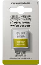 Aquarela Pastilha Profissional Winsor 447 Olive Green