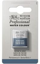 Aquarela Pastilha Profissional Winsor 465 Payne's Gray